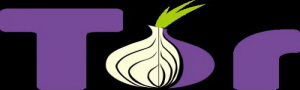 Sicher in das Internet mit dem Tor Browser